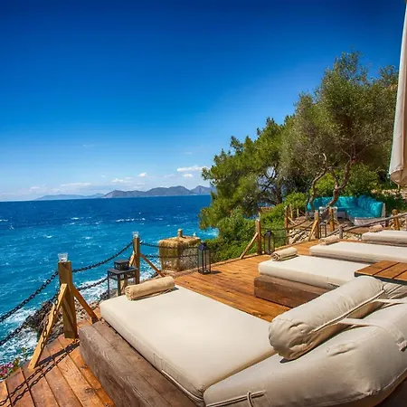 Perdue Hotel 4*