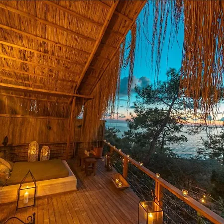 酒店 Perdue 法拉尔雅