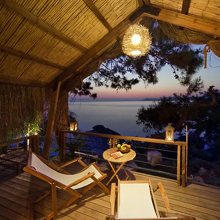 Perdue 4* 法拉尔雅