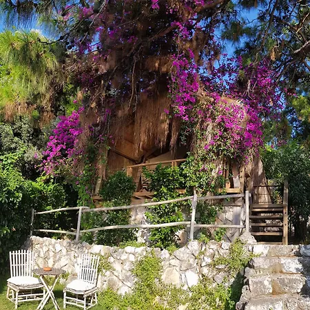 Perdue Ξενοδοχείο 4*